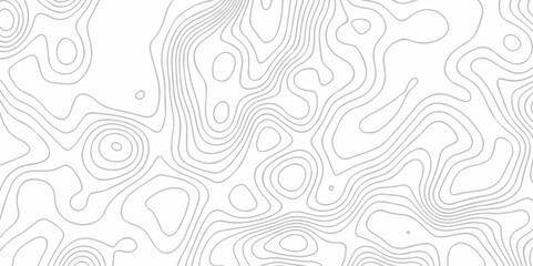 Vector lines pattern seamless sea map topography design. White wave paper curved reliefs Contour maps. 