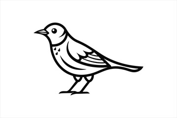 Obraz premium Lark bird line art style vector artwork illustration.