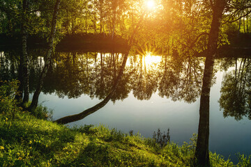 Obraz premium Sunrise or sunset near the pond with birches on a sunny summer day. Vintage film aesthetic.