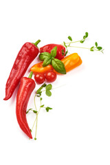 Mixed red and yellow chilly peppers with cherry tomatoes, isolated on white background.