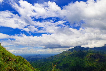 In the clouds, at the summit of Little Adam's Peak, in Sri Lanka.