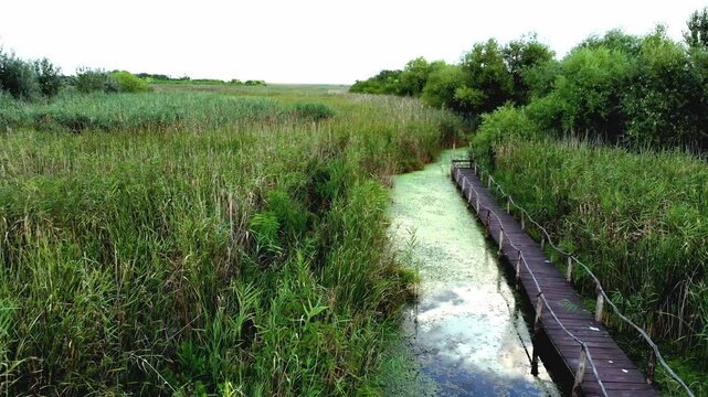 Flight above Jegricka Nature park, revealing a picturesque wooden footbridge spanning the marshy turquoise river.