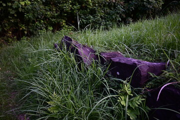 野原に転がる大きな石