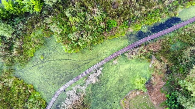 Flight above Jegricka Nature park, revealing a picturesque wooden footbridge spanning the marshy turquoise river.