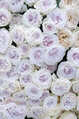 bouquet of roses flower