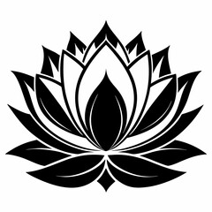 black and white lotus