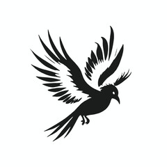 Fototapeta premium A black and white silhouette of a flying bird with outstretched wings 