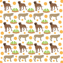 wolf, dog with fruit as a pattern background