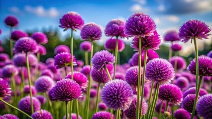 Obraz premium Vibrant Free Clip Art of Purple Flowers Perfect for Creative Projects and Decorative Designs