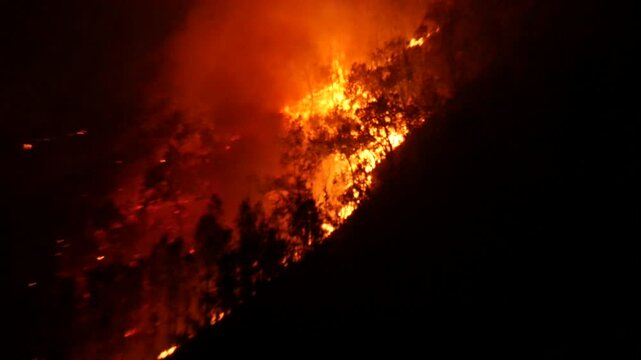 Wide angle shot of wildfire or forest fire burning natural habitat on a hill.