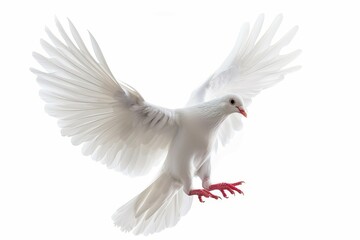 Obraz premium A white dove soars through the air with its wings widely spread, showcasing its elegant feathers and vibrant color, embodying a spirit of freedom and tranquility.