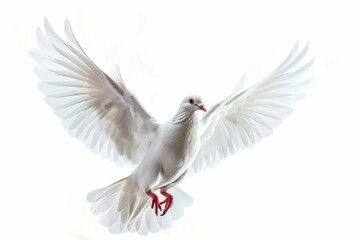 Fototapeta premium The white dove glides through the air, its wings wide open, symbolizing peace and freedom in a serene, bright environment that enhances its beauty.
