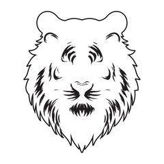 tiger sketch head vector learn art

