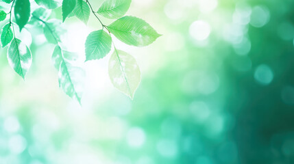 Naklejka premium Fresh green leaves gently sway in soft light, creating serene and tranquil atmosphere. blurred background enhances peaceful feeling of natures beauty