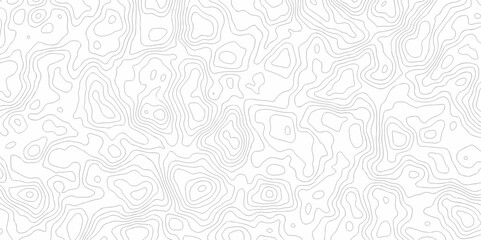 Lines map seamless topographic contour lines vector pattern. Geographic map and topographic contours map background. Vector illustration. White wave paper reliefs.	