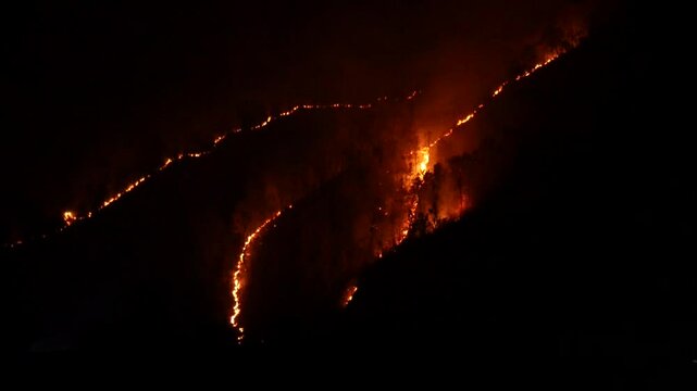 Wildfire or Forest fire lines on the hill burning natural habitat and resources.