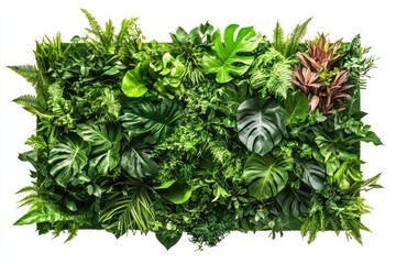 Obraz premium Lush green vertical garden foliage