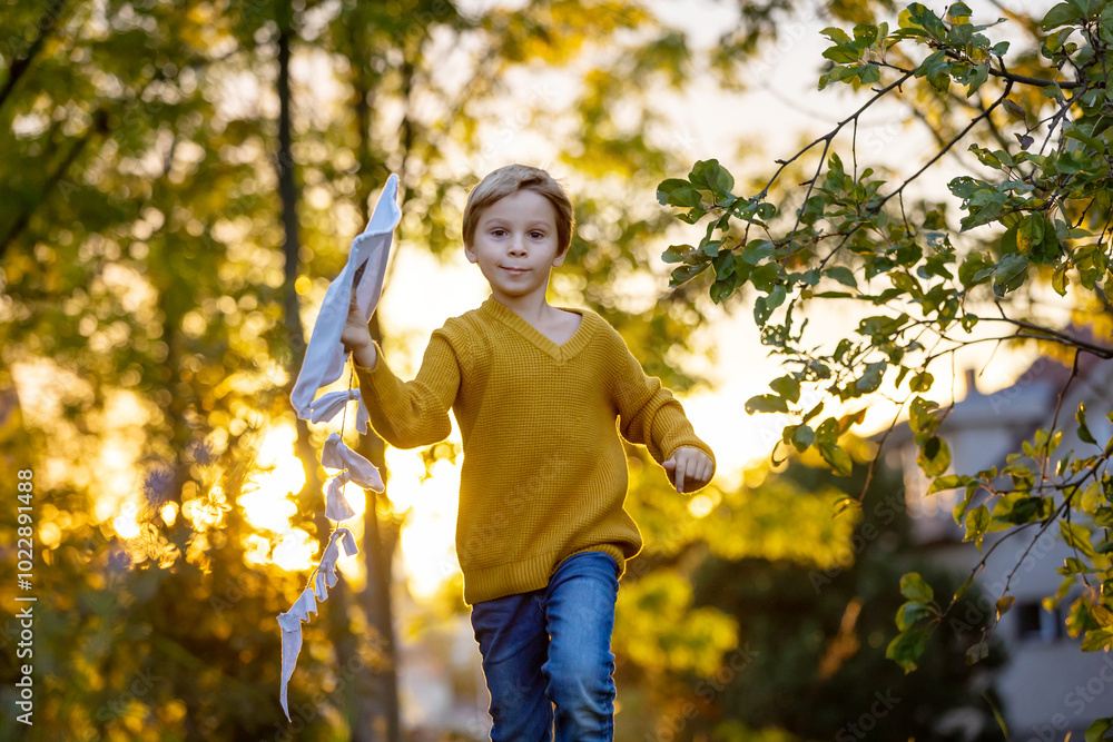 Canvas Prints Beautiful blond child, boy, playing with kite in a field