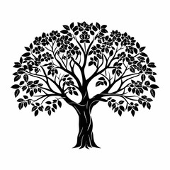 Fototapeta premium marulatree-silhouette