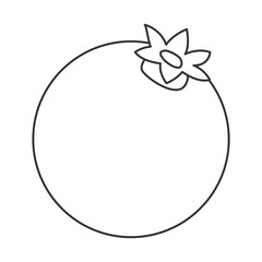 Vector illustration of a pomegranate, featuring clean outline and minimalist design