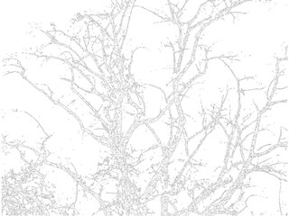 Fototapeta premium tree on sky abstract texture dot vector art, line background