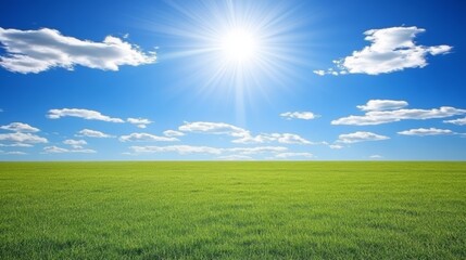 Obraz premium Sunkissed green field stretching under a vast blue sky