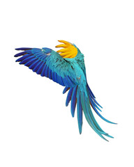 Big parrot bird blue and gold macaw flying isolated on white background. This has clipping path.