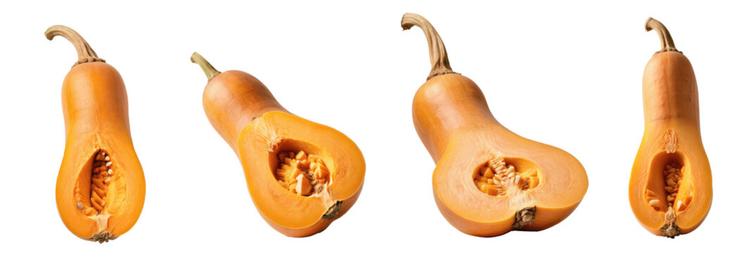 set of butternut squash isolated on transparent background
