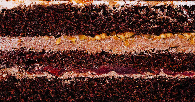 Delicious chocolate cake layers showing filling and frosting