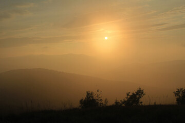 Fototapeta premium sun