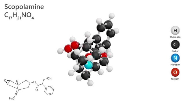 Scopolamine (C17H21NO4) is a tropane alkaloid derived from plants Atropa belladonna. It functions as an anticholinergic agent, helps prevent motion sickness and nausea. White back. 3d render