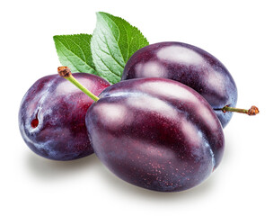 Ripe prune plums with green leaf isolated  on white background. Clipping path.