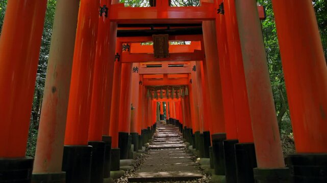 A walk through the orange torii in Fushimi Inari, Kyoto