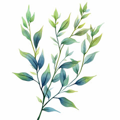 leaves on white background, watercolor floral bouquet isolated on a white background 
