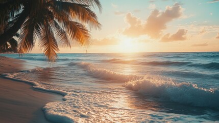 Sunset over a Tropical Beach with Palm Tree Fronds in Foreground