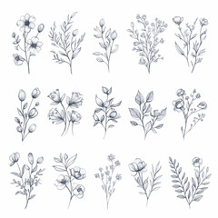 set of black and white flowers