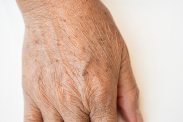 Old woman's hand skin texture on white background.