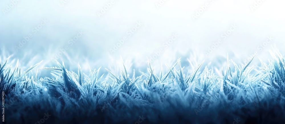 Poster abstract background from a grass covered with hoarfrost