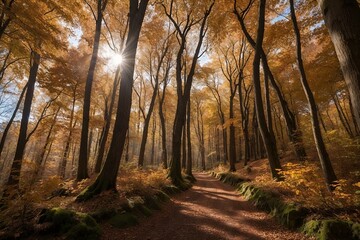 Fototapeta premium Sunlit Autumn Forest Path with Golden Leaves