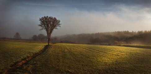wenn sich der Nebel verzieht