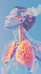 An illustration of the human lungs and airway system, highlighting their structure and location within each person's chest area.