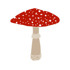 Fly agaric mushroom with red cap and white dots, Amanita muscaria mushroom, cartoon vector isolated illustration.