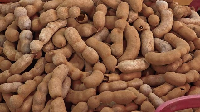 fresh brown tamarind
