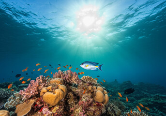 Obraz premium Vibrant underwater scene with coral reef and fish in sunlit ocean