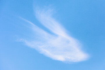 White soft cirrus clouds in the blue sky.
