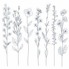 set of black and white flowers