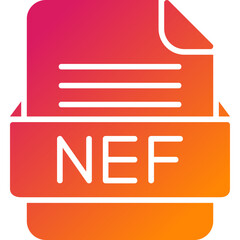 NEF File Format Vector Icon Design