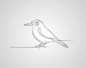 Minimalistic Bird Line Drawing Illustration
