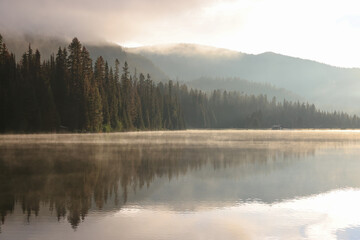 Fototapeta premium the steaming lightning lake in British Columbia in the early morning sunlight, while the forest is reflected in the calm water surface