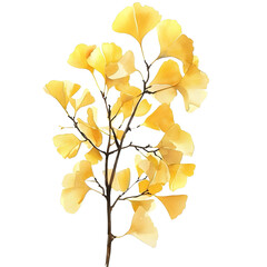a ginkgo branch with yellow leaves